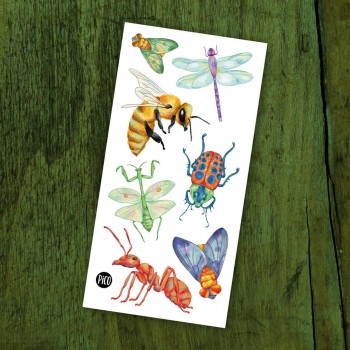 Tatouage Temporaire - Les Insectes - Pico