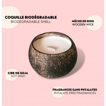 Coco - Chandelle - Sugar Bloom - The Future is Bamboo -