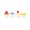 Cupcakes en Bois - Toy Van