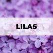 Déodorant Naturel Kali 78g - Lilas