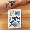 Tatouages Temporaires 4x6 - Les Baleines - Les Tatoués