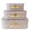 Ensemble De Trois Petites Valise - Jardin Francais - Alimrose