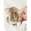 Peluche avec Jouet de Dentition - Lapin - Itzy Rity